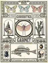 Curiosities Cabinet