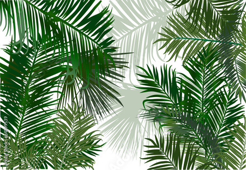 palm and fern leaves green background