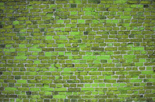 Green Brick Wall (background, Wallpaper, Bricks)