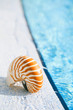 nautilus shell at resort swimming pool edge