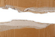 © Stillfx - Ripped corrugated cardboard on white background. Copy space