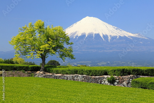  Plakaty orientalna   japonska-gora-fuji-w-maju