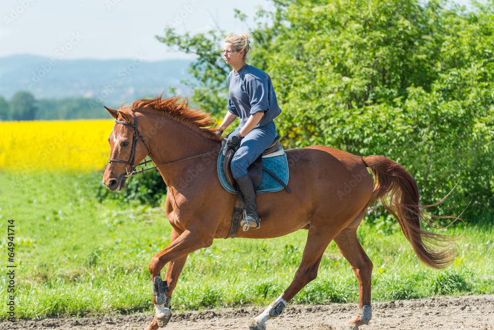 В какую сторону идут лошадь и девушка. Цыгане и лошади. Фура для перевозки лошадей. Конь боджек. Ехать на лошади.