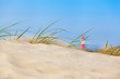 Sand Dune View