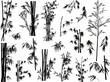 isolated black bamboo plant silhouettes collection