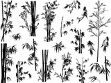 Fototapeta Fototapety do sypialni na Twoją ścianę - isolated black bamboo plant silhouettes collection