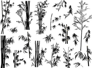 Wall Mural - isolated black bamboo plant silhouettes collection