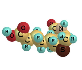 Poster - Biotin (B7) molecular structure on white background