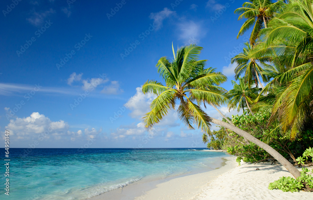 Foto-Kissen - Strand mit Palmen