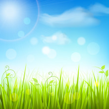 Spring Meadow Grass Blue Sky Poster