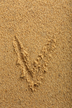 Alphabet letter written on wet beach sand