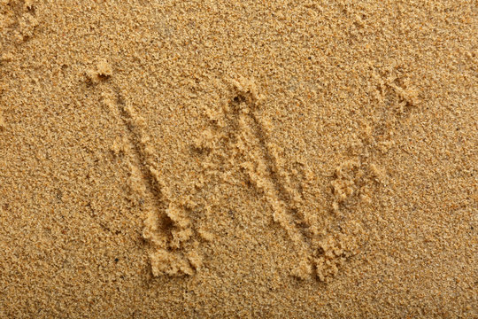 Alphabet letter written on wet beach sand