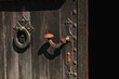 Medieval door lock photo
