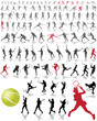 Silhouettes and shadows of tennis players, vector illustration