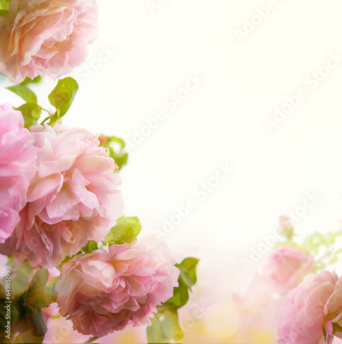 Naklejka na szybę abstract Beautiful pink rose floral border background
