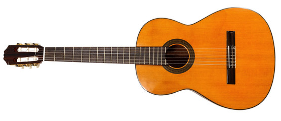 full view of prime acoustic guitar