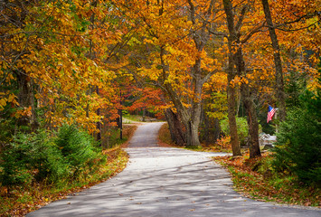 Wall Mural - winding autumn country road in new england