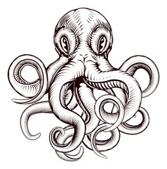 Wall Mural - Octopus illustration