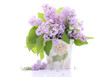 © bluebat - Lilac bouquet