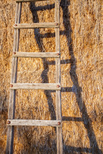 Ladders Leaning On Bales Of Hay