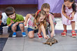 Kinder streicheln Schildkröte im Kindergarten