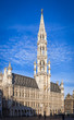 Brussels Town Hall
