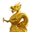 gold dragon on white background