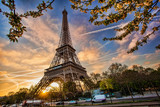 Fototapeta Miasta - Eiffel Tower against sunrise  in Paris, France