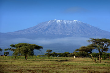 snow on top of mount kilimanjaro in amboseli
