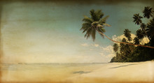Rustic Textured Parchment Of The Beach And Palm Trees