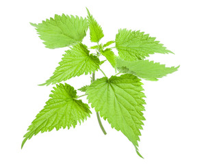 Sticker - nettle