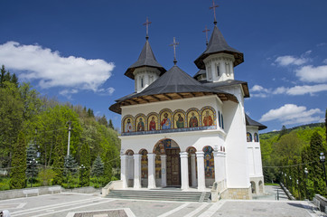 Wall Mural - Sihastria church