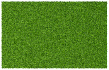 Wall Mural - green grass meadow