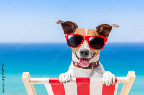 Foto-Kissen - summer vacation dog (von Javier brosch)