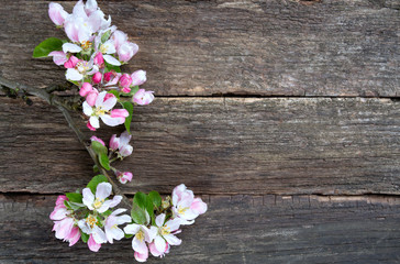  apple blossoms on wooden surface