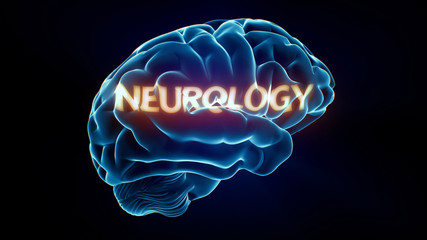 Wall Mural - Neurology Xray Brain