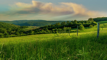 Wall Mural - beautiful landscape, a field of green grass, hills and clouds