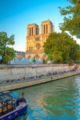 Fototapete - Notre-Dame de Paris en France