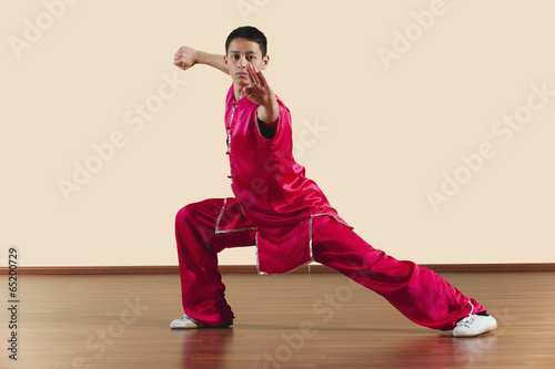 Dekoracja na wymiar  kung-fu-changquan-gongbu-ce-tuizhang-styl-dlugiej-piesci-azjatyckie-sztuki-walki