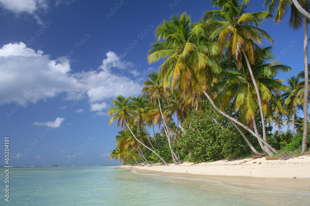 Obraz na płótnie Caribbean beach w salonie