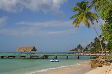 Wall Mural - Caribbean beach - Pigeon point