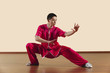 Kung Fu,Baguazhang,Ban mabu tuizhang,asiatische Kampfkünste