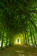 Man In A Green Tunnel