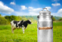 Old Aluminum Milk Can Against Cow Pasture Meadow