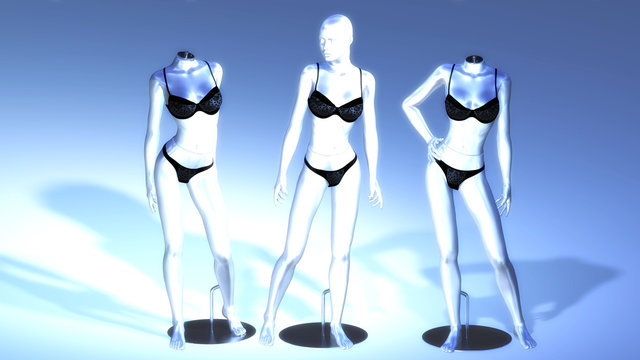 Virtual Manikins