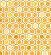 Multicolor Honeycomb Pattern
