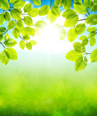 Wall Mural - summer day