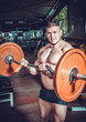 © Andriy Petrenko - bodybuilder in training room