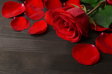 Poster - Beautiful petals of red roses on wooden background