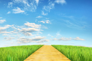 Bright summer landscape with wooden road going into the distance